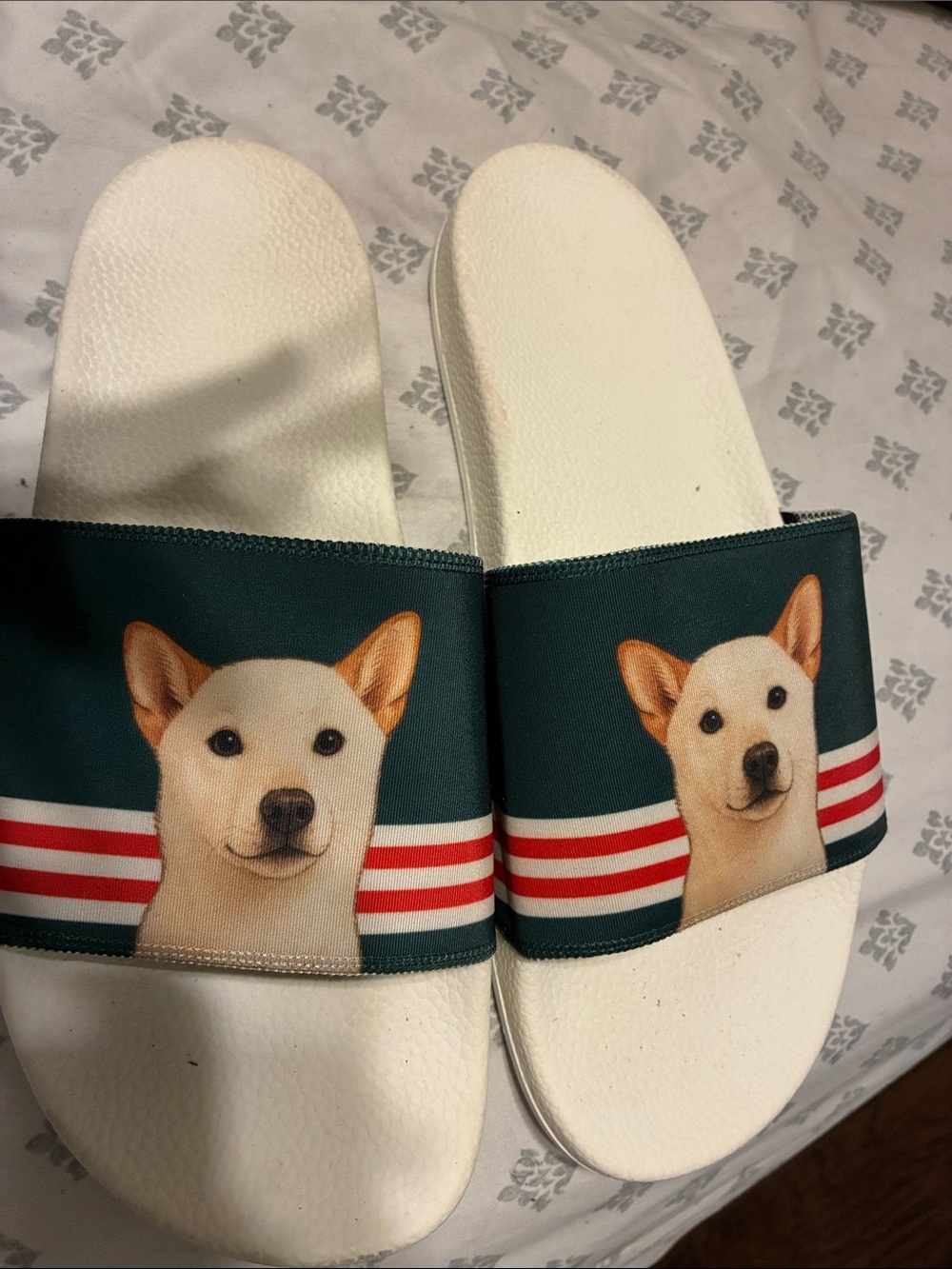White Slide Sandals with Green Strap and Dog Print